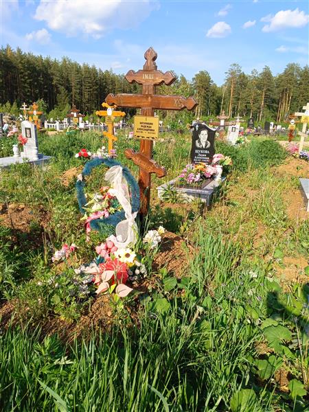 Боголюбова Надежда Александровна