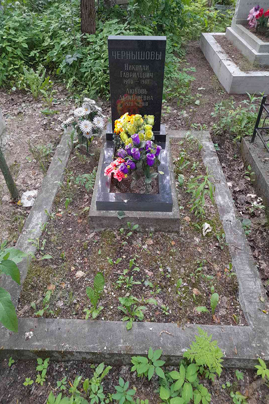 Чернышев Николай Гаврилович
