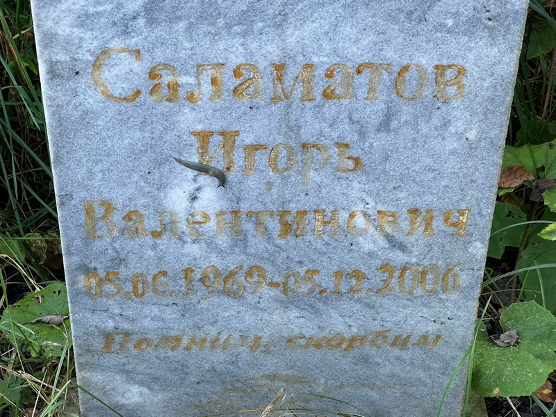 Саламатов