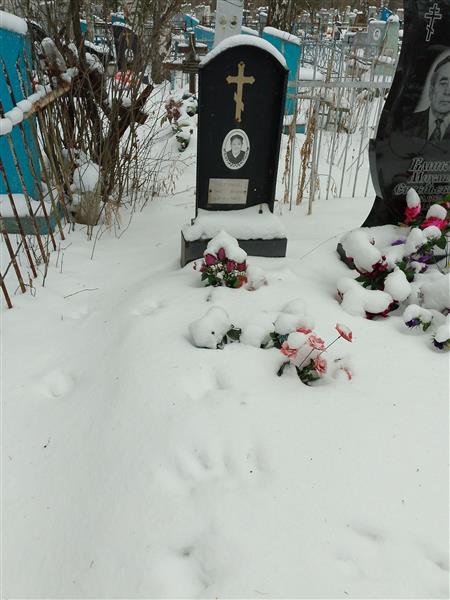 Петунина Анна Ивановна