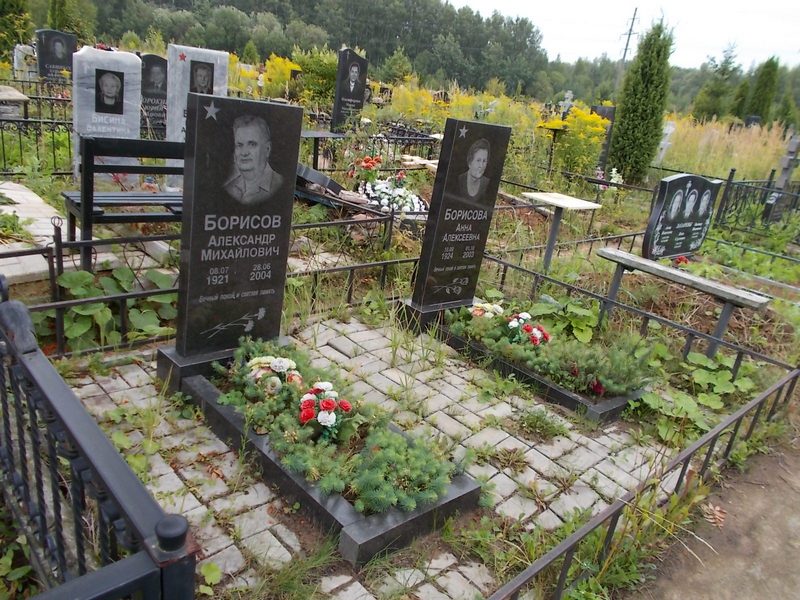 Борисов Александр Михайлович