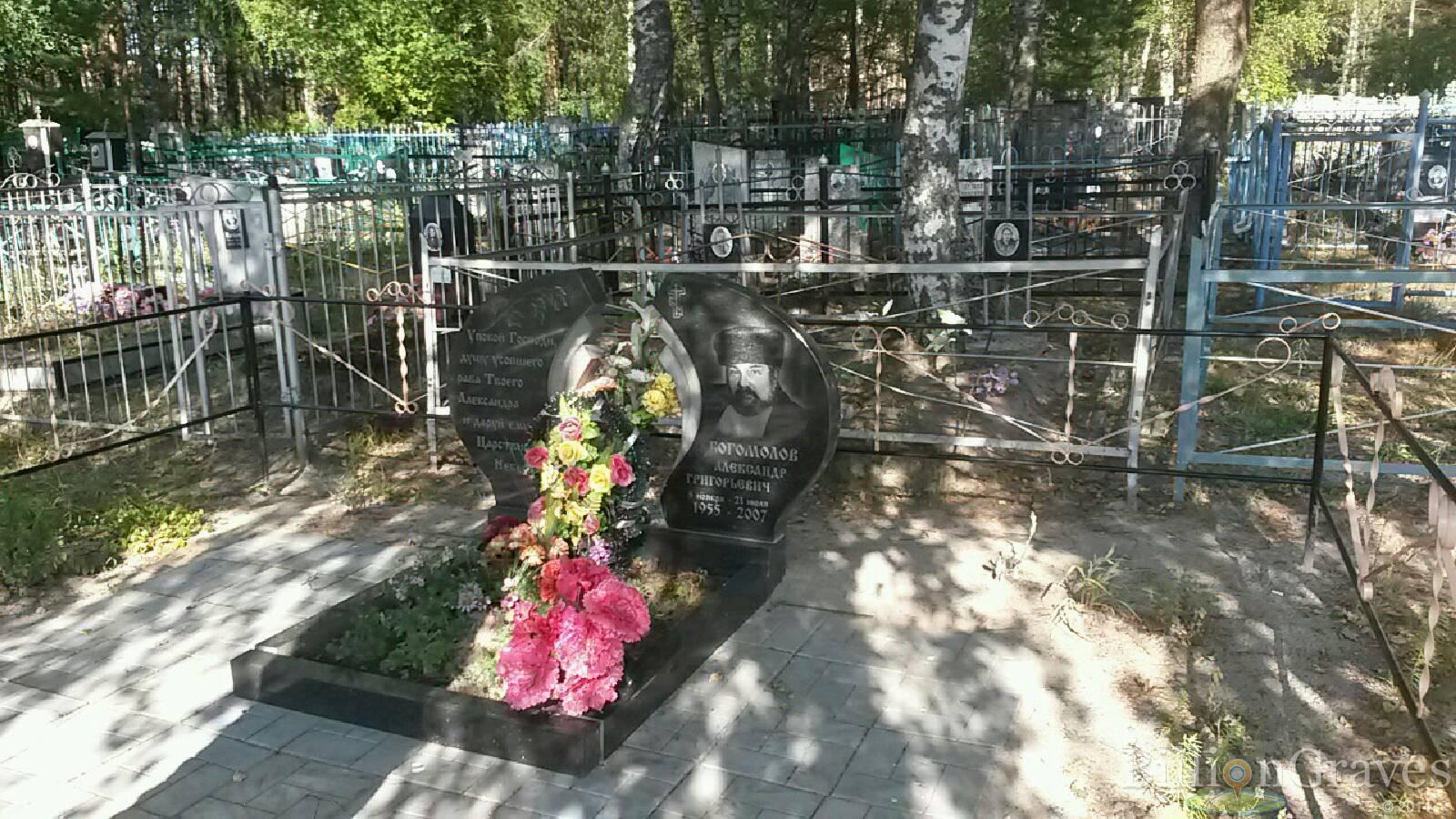 Богомолов Александр Григорьевич