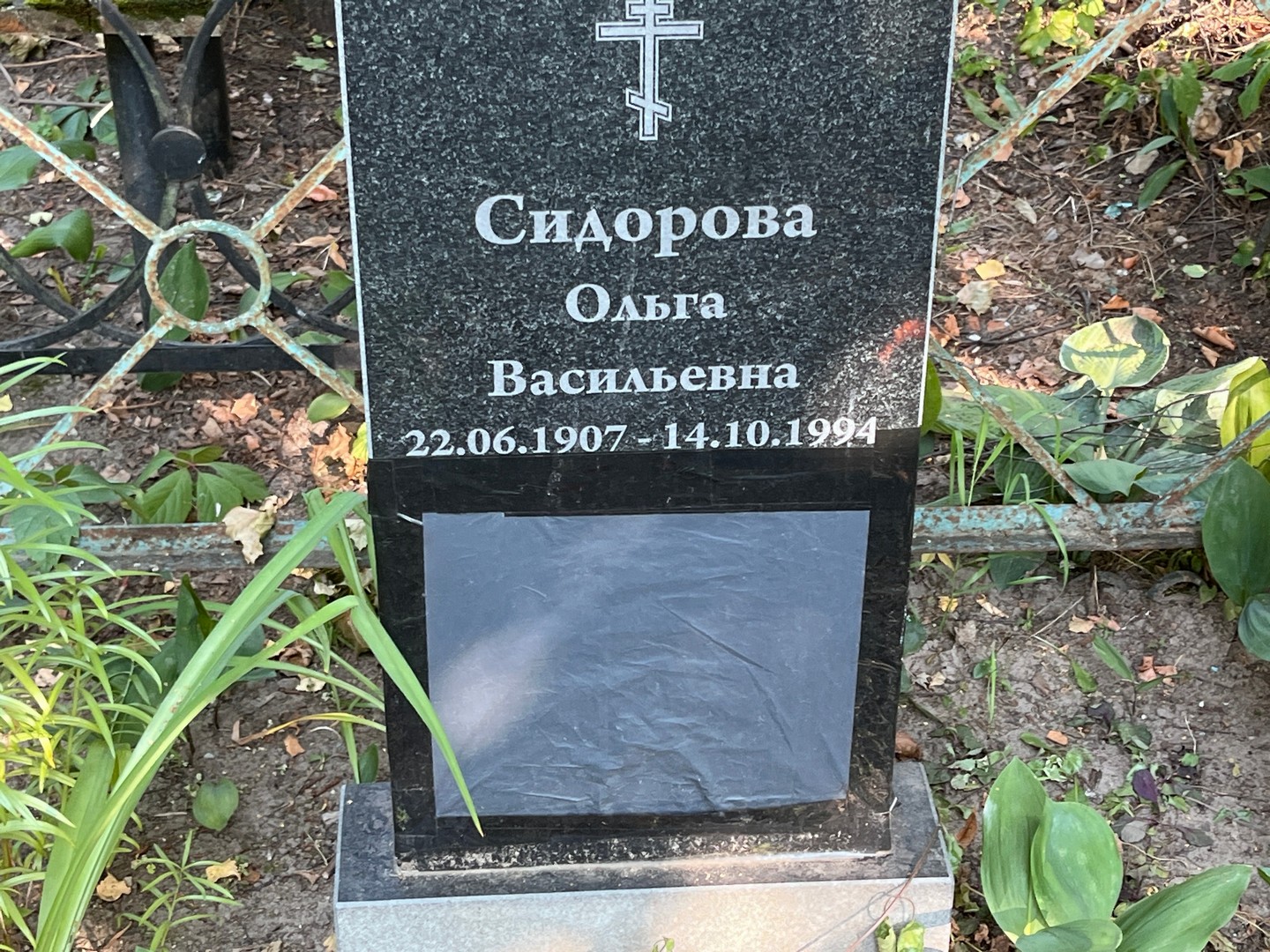 Сидорова