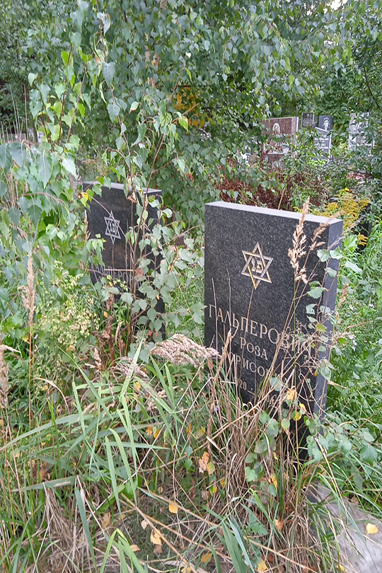 Гальперович Роза Борисовна