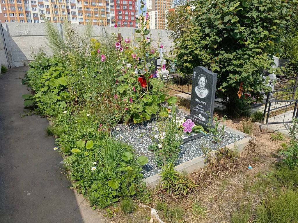 Мисевич Анна Ивановна