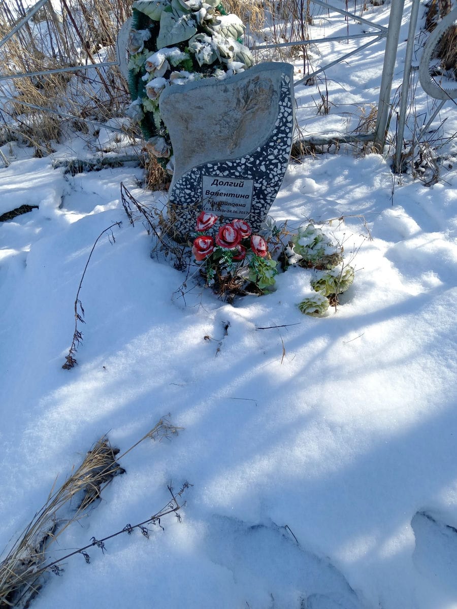Долгий Валентина Михайловна