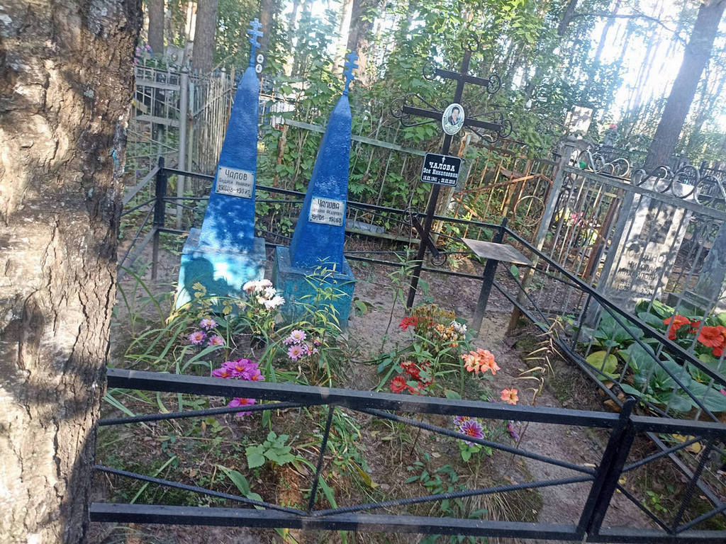 Чалова Зоя Николаевна