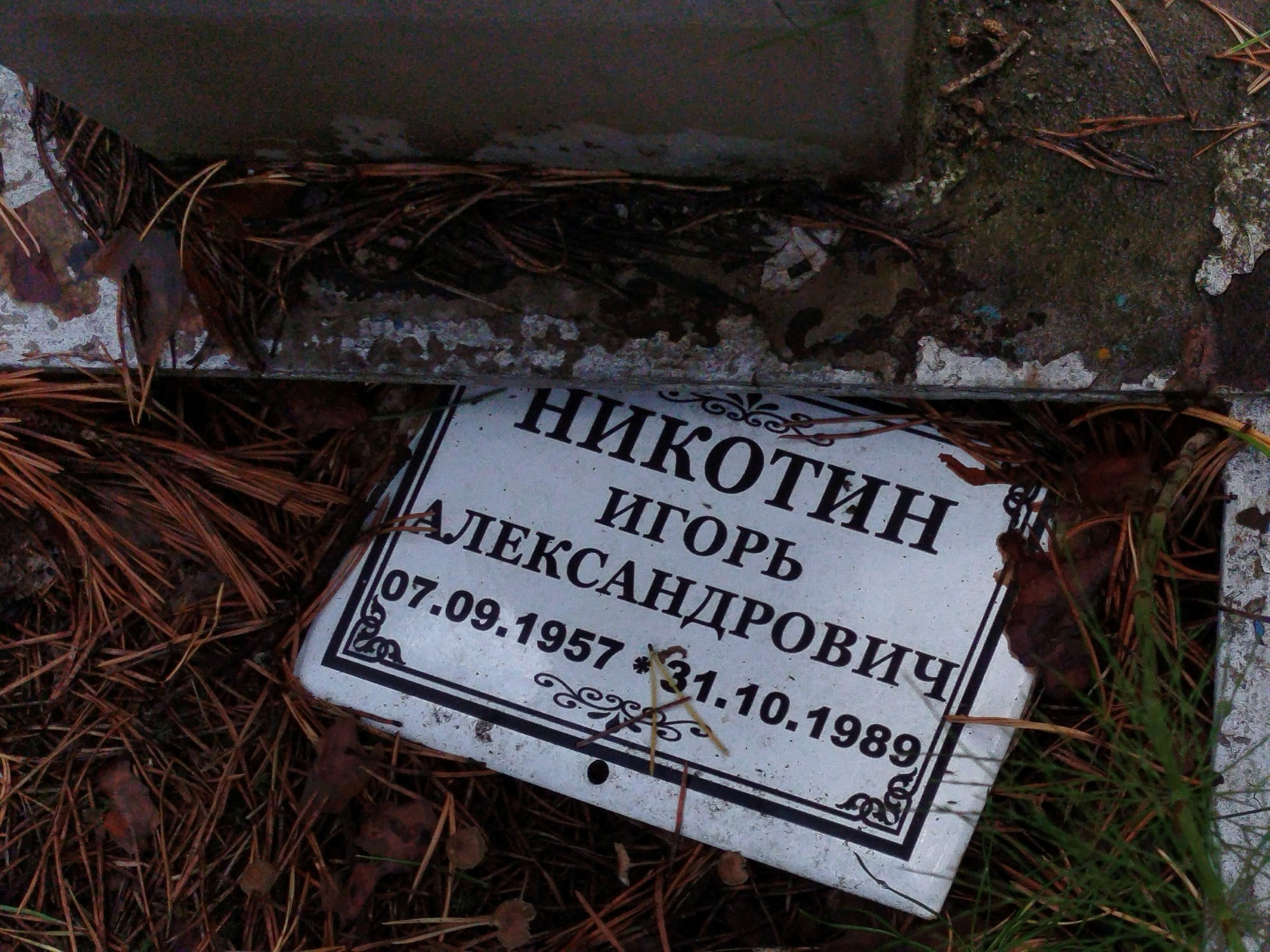 Никотин Игорь Александрович