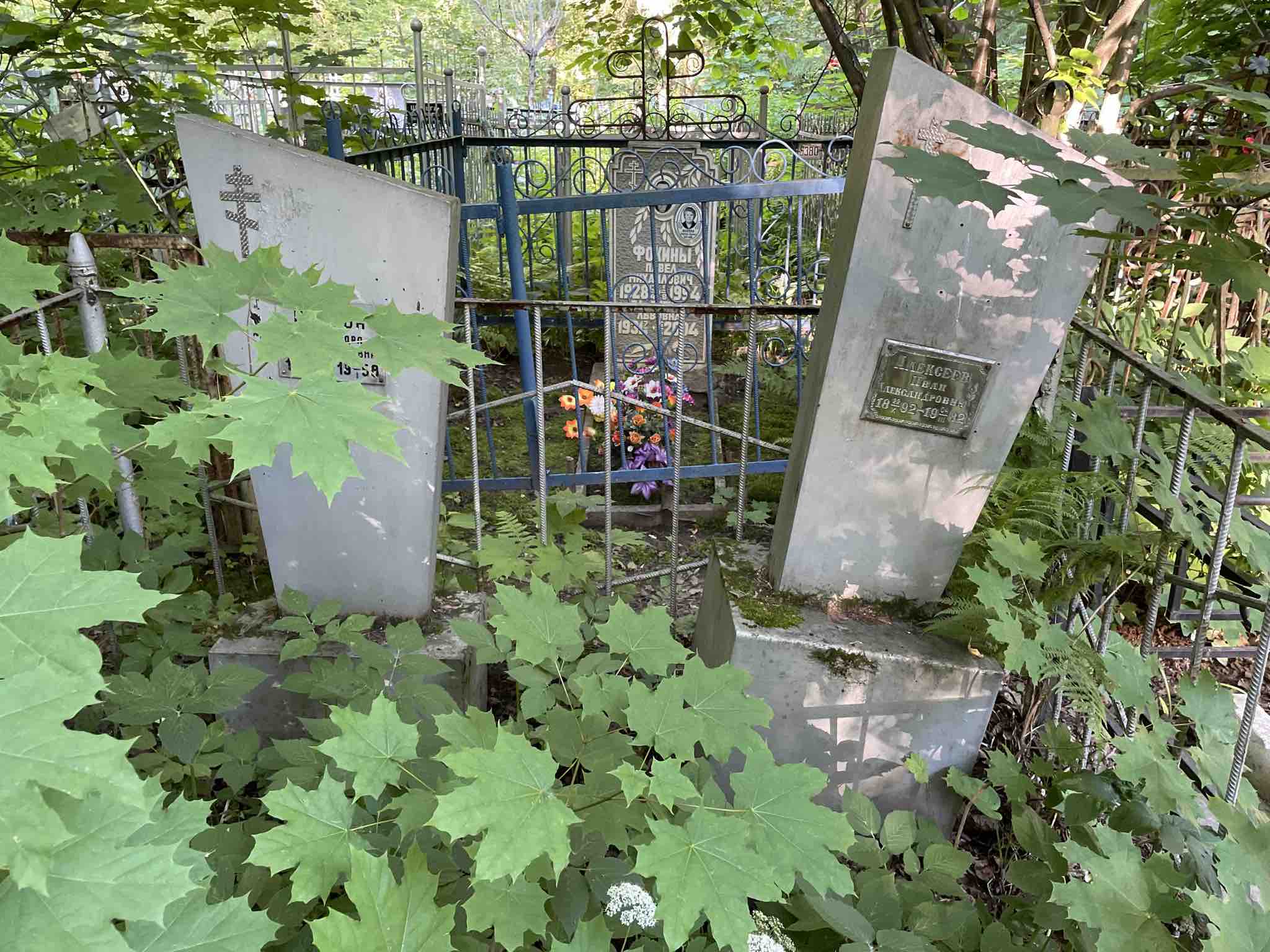 Розова Александра Александровна