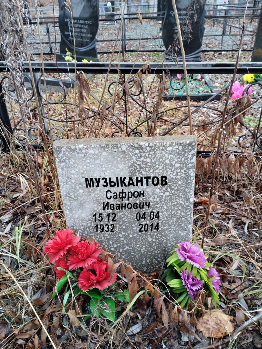 Музыкантов Сафрон Иванович