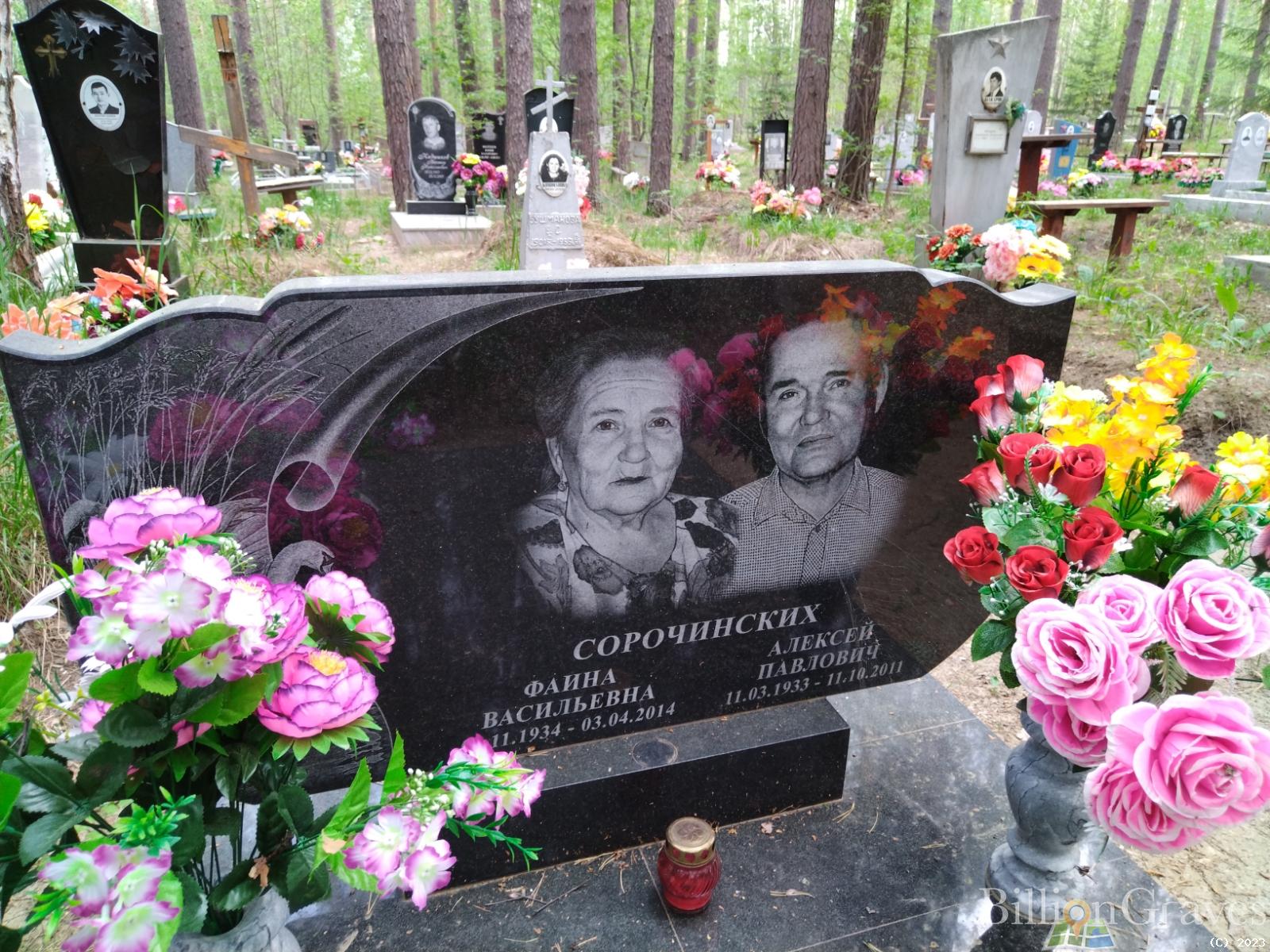 Сорочинских Алексей Павлович