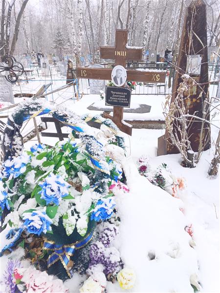 Чичикало Дмитрий Николаевич