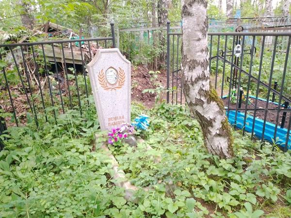 Андреев Илларион Андреевич