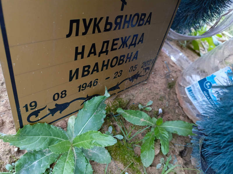 Лукьянова