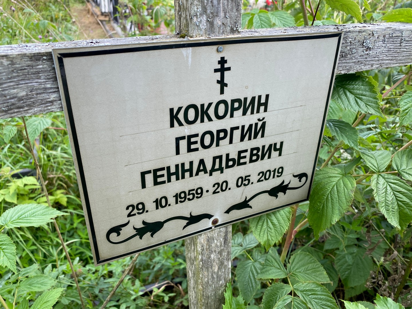 Кокорин