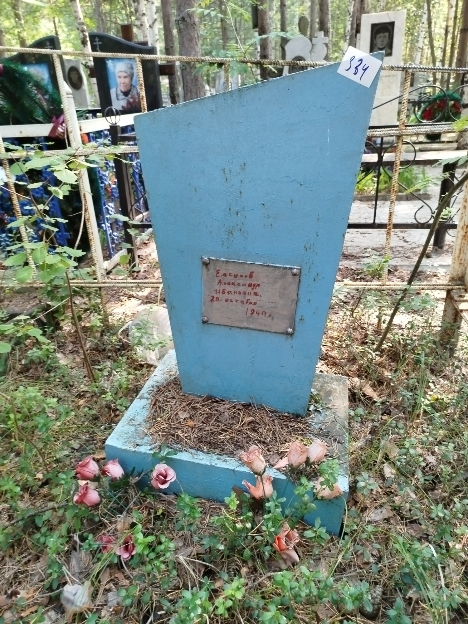 Елсуков Александр Иванович