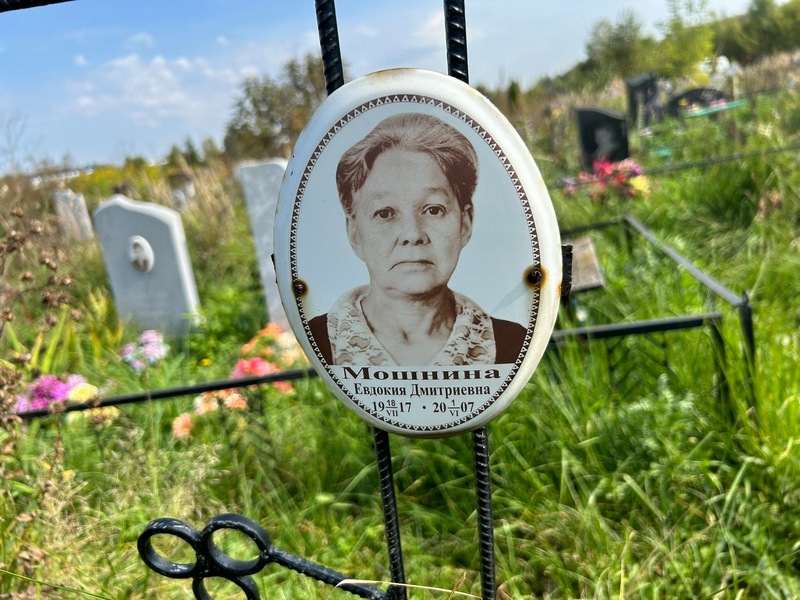 Мошнина