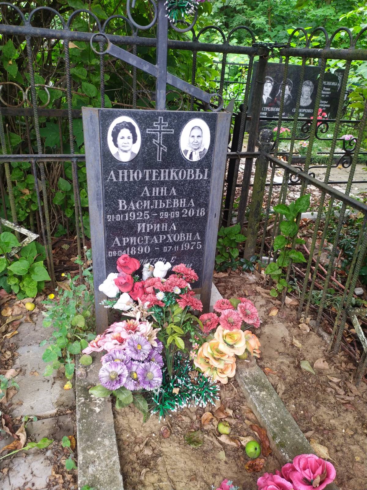 Анютенкова Анна Васильевна