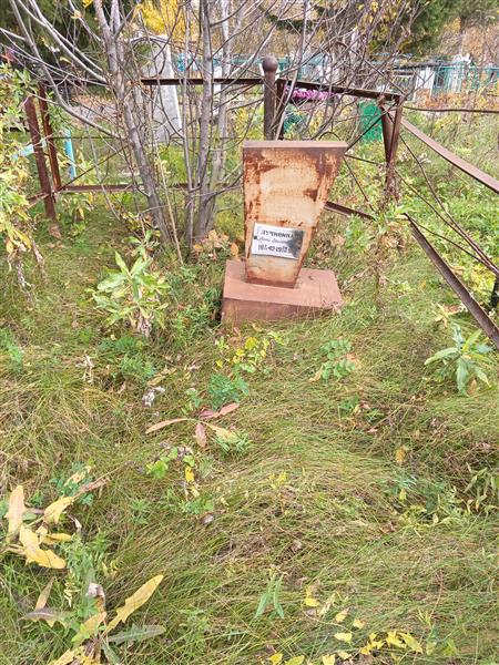 Лучинина Нина Григорьевна