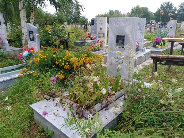 Красильникова Ольга Александровна