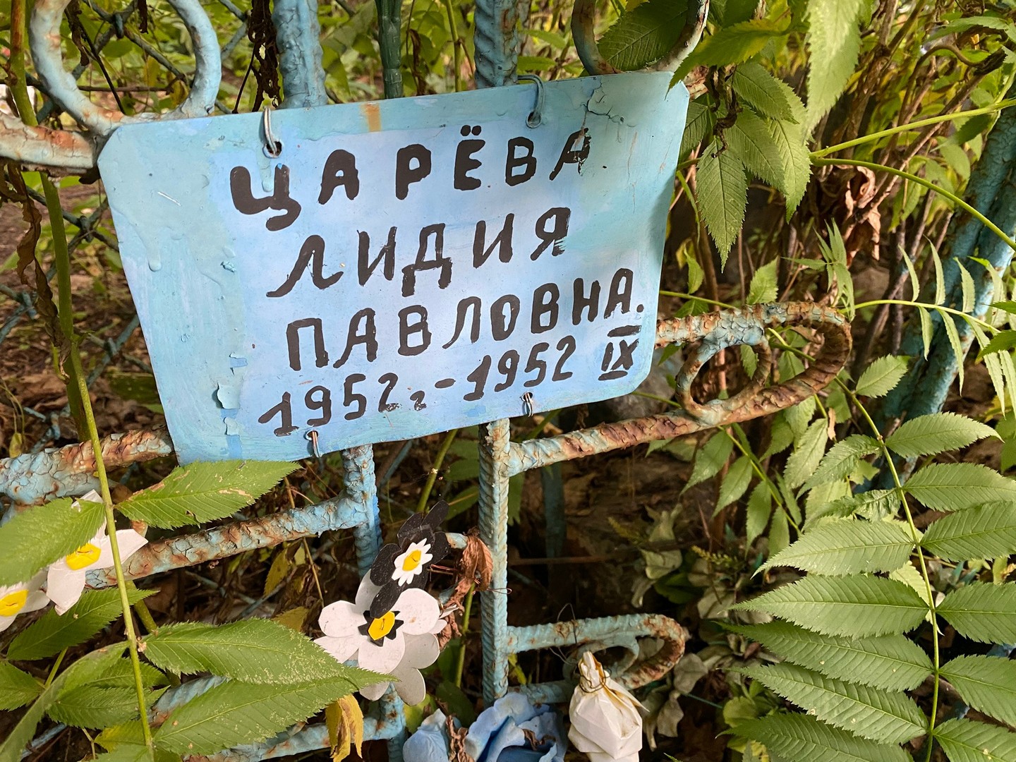 Царева