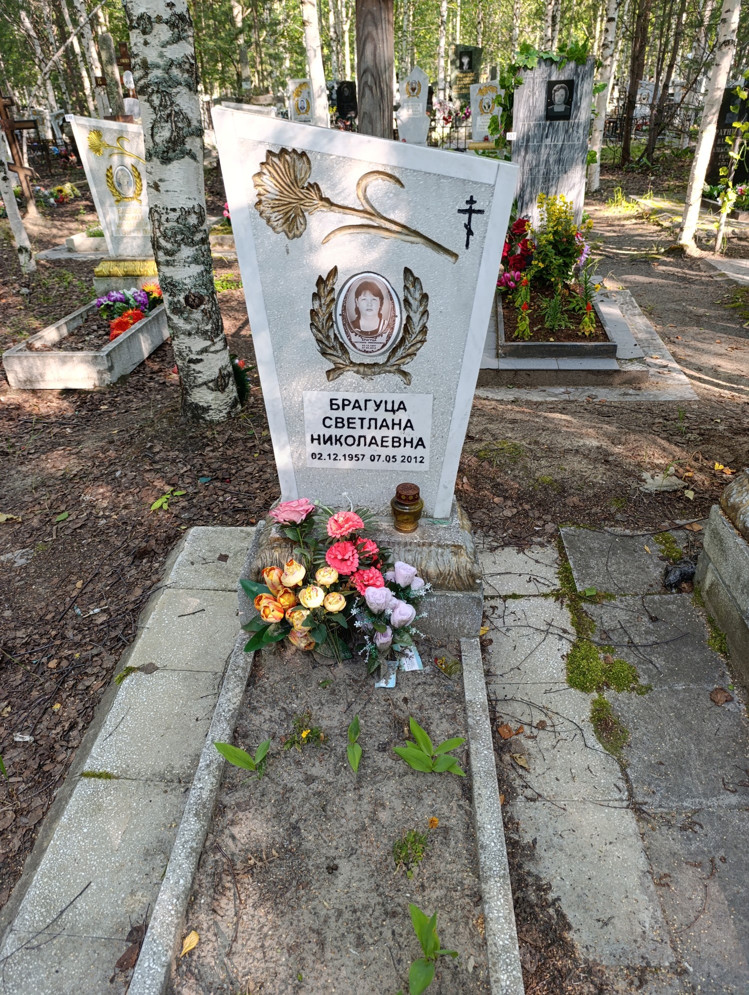 Брагуца Светлана Николаевна