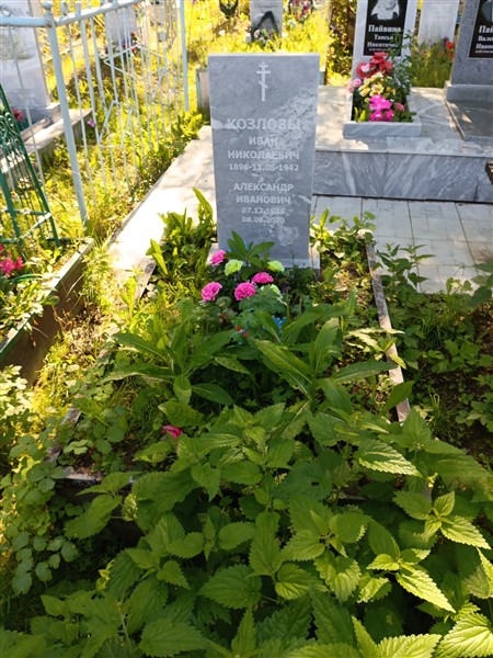 Козлов Александр Иванович