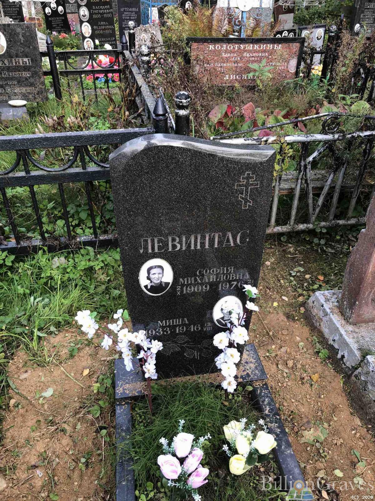 Левинтас Михаил