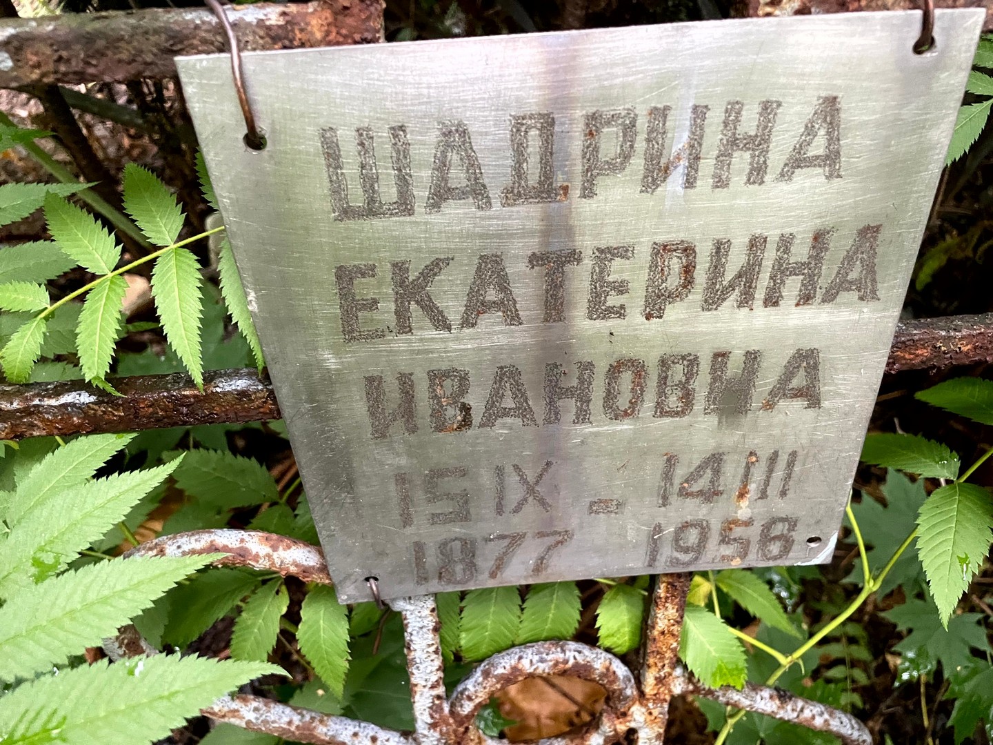 Шадрина