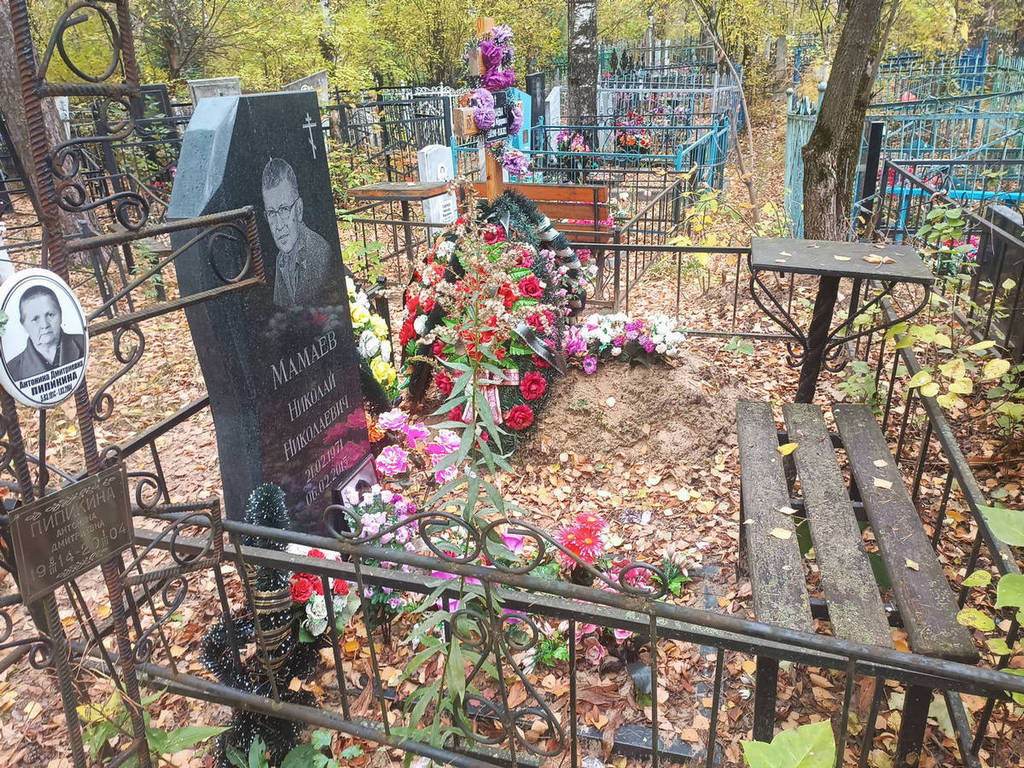 Мамаев Николай Николаевич