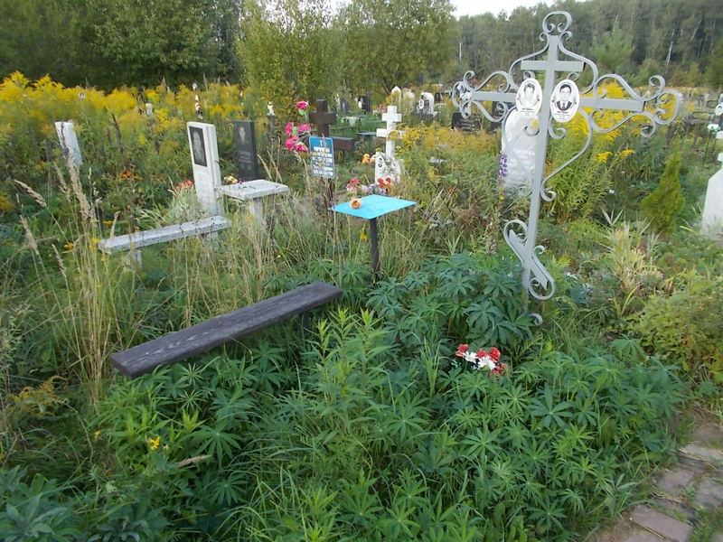 Костюнин Анатолий Анатольевич