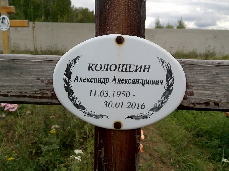 Колошеин