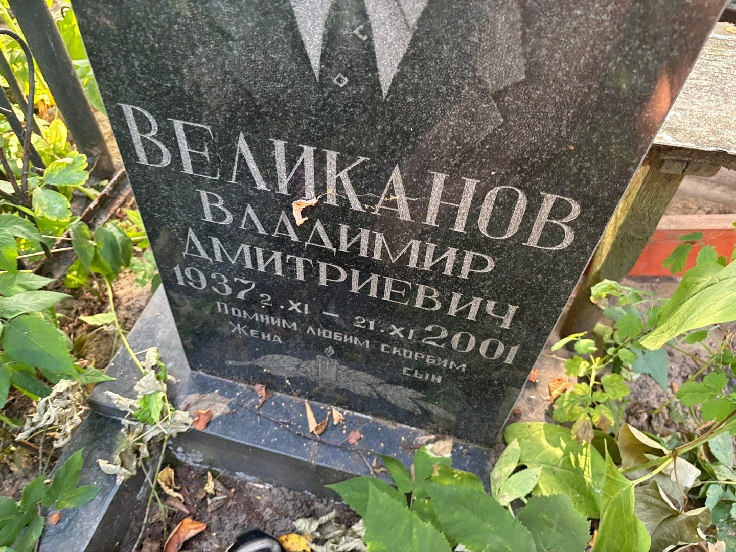 Великанов
