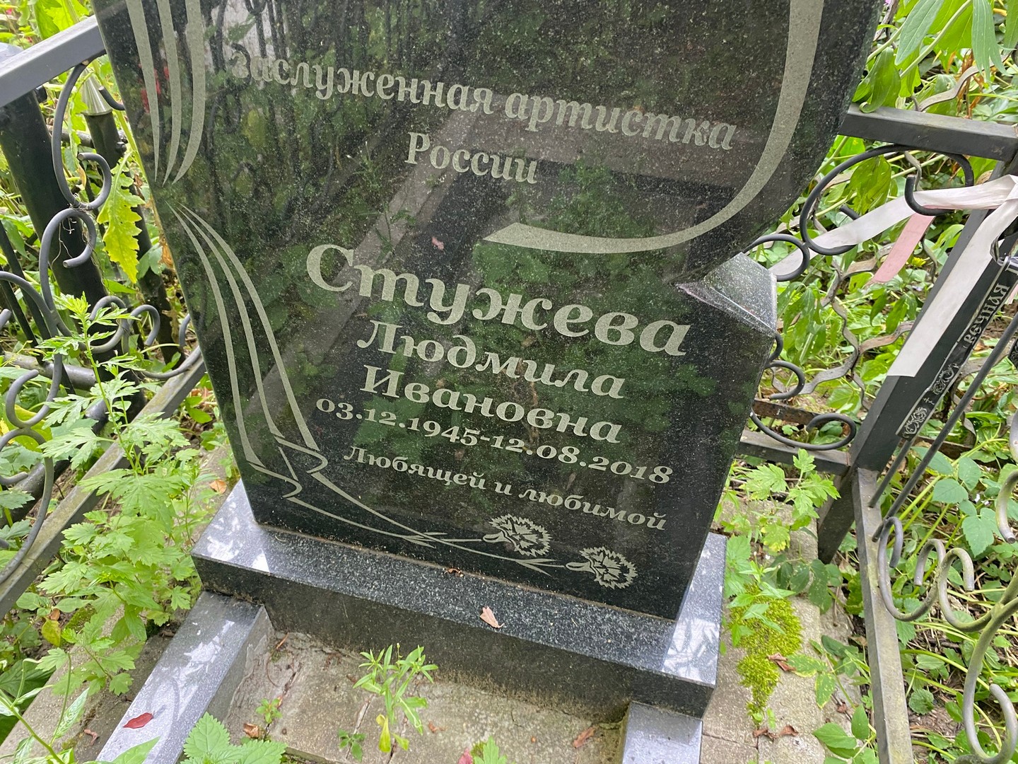 Стужева