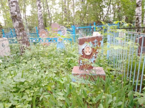 Полохова Дарья Дмитриевна
