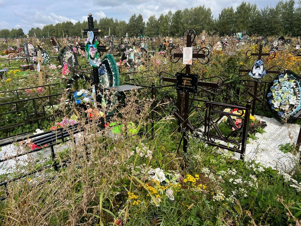 Просвирина Надежда Николаевна