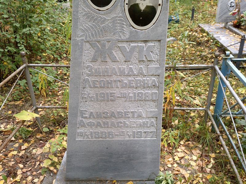Жук