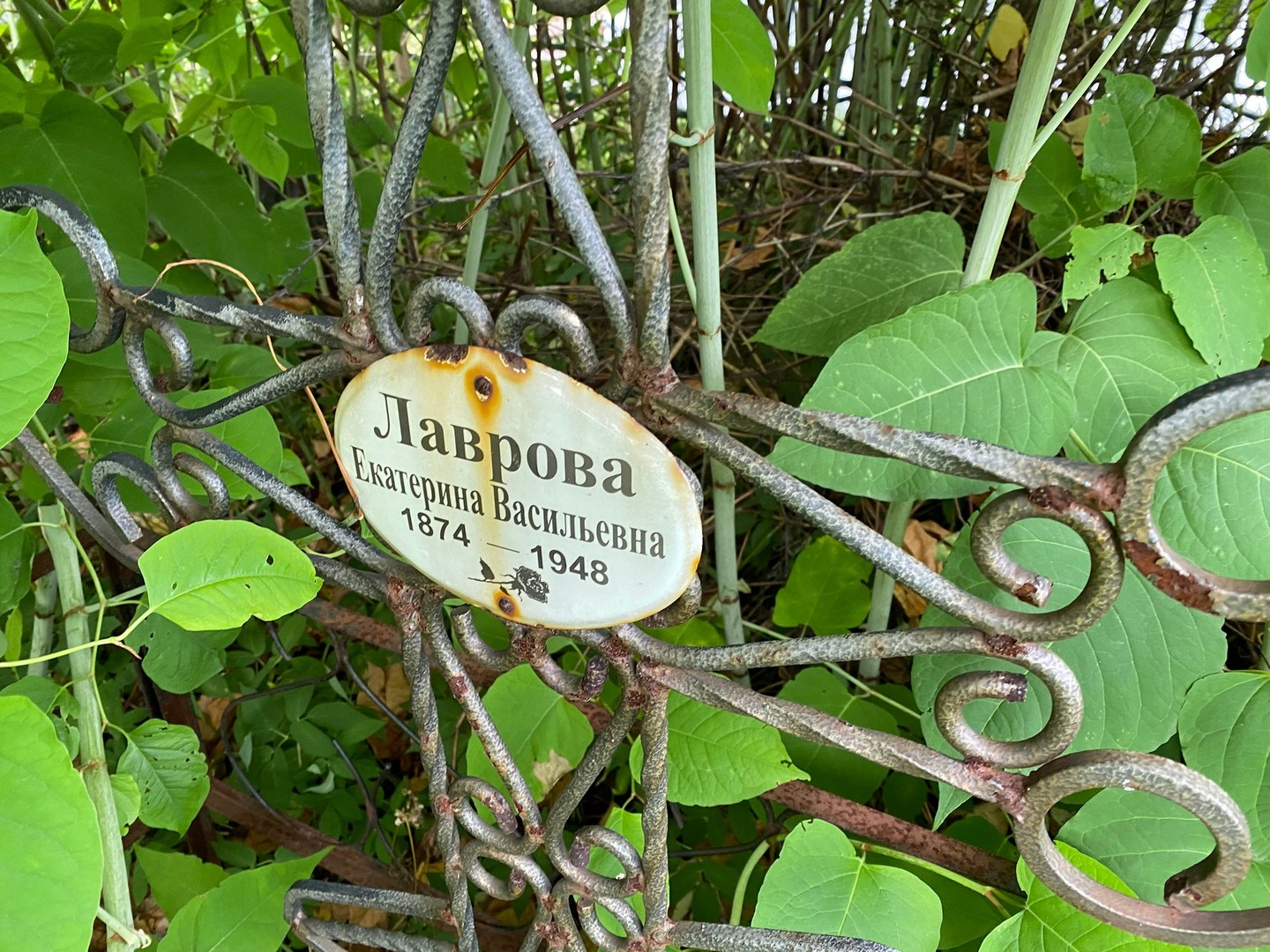 Лаврова