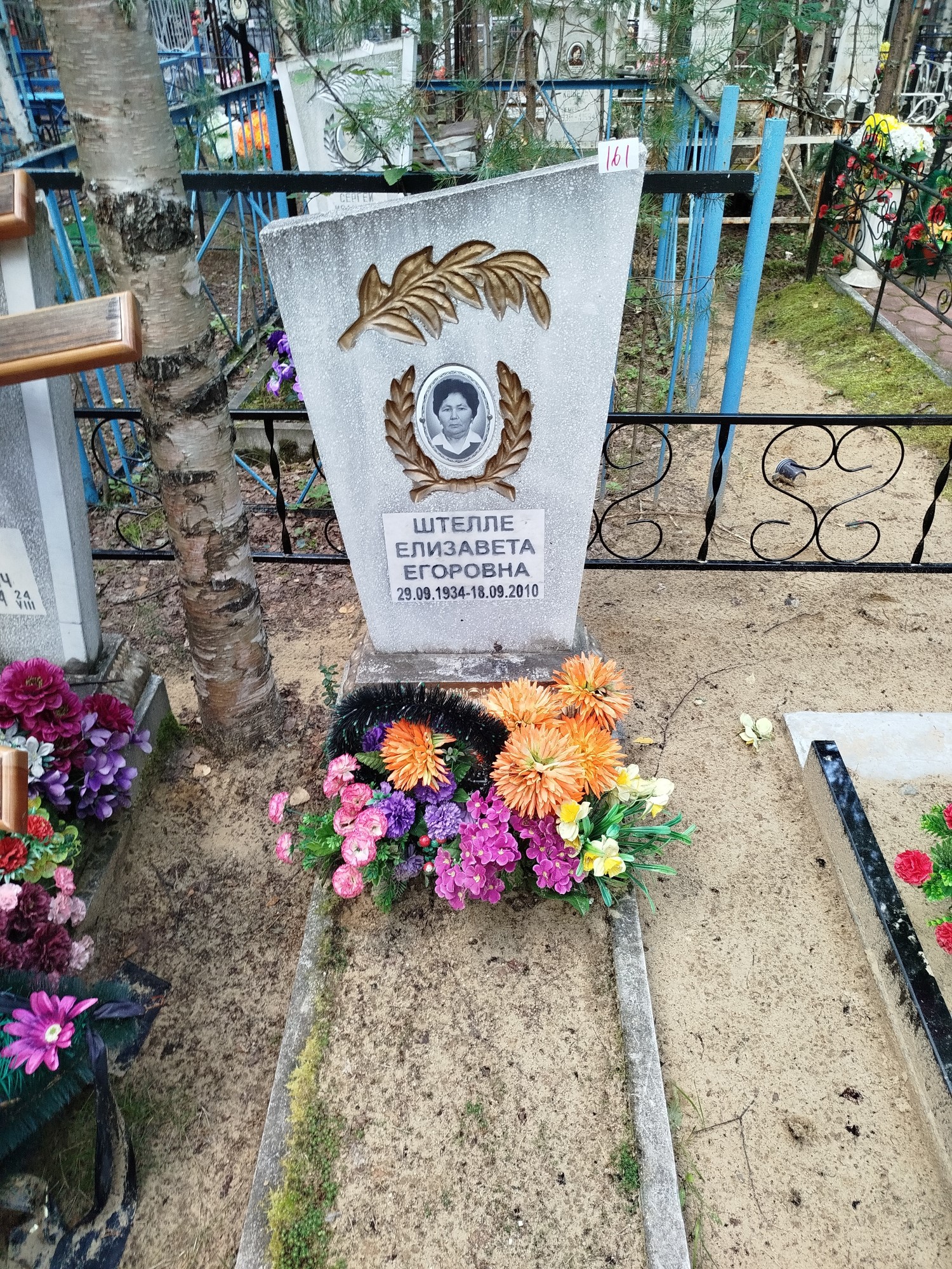 Штелле Елизавета Егоровна