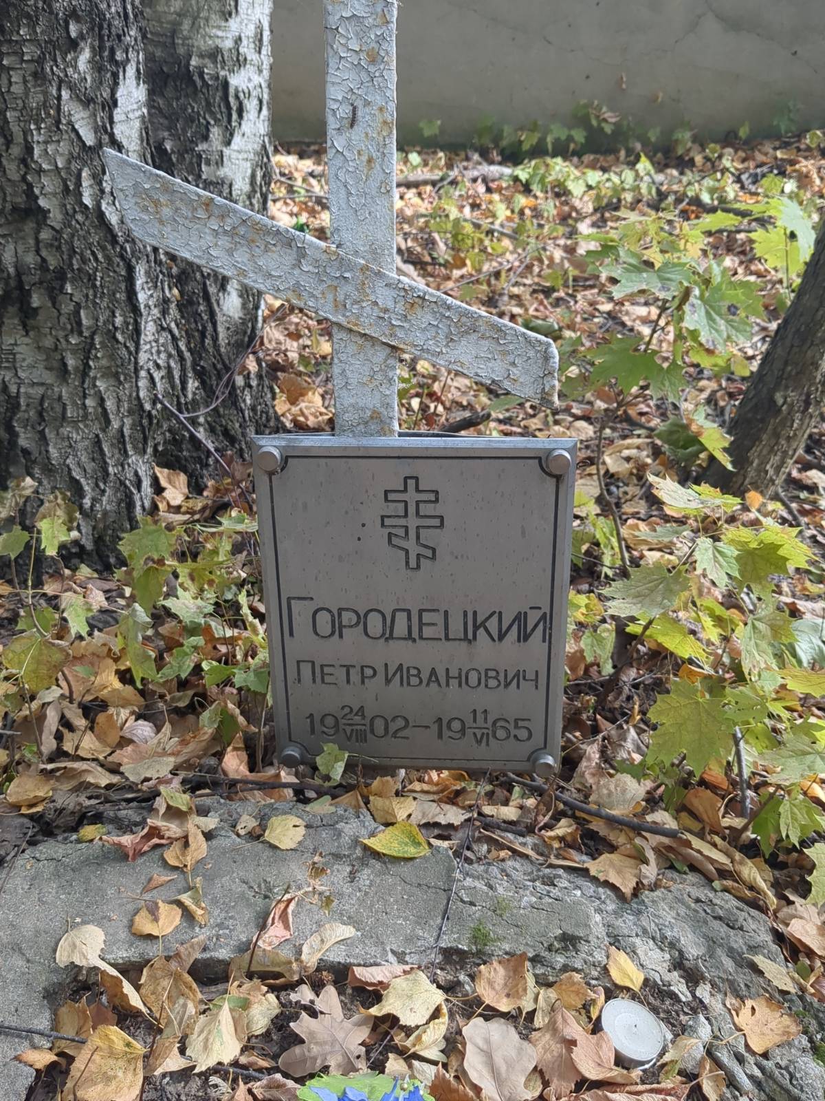 Городецкий Петр Иванович