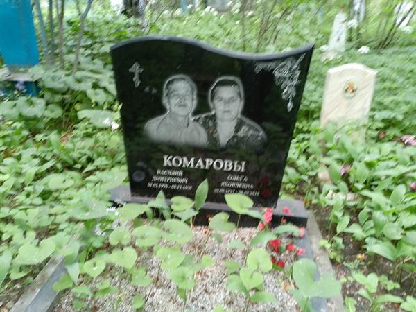 Комаров Василий Дмитриевич