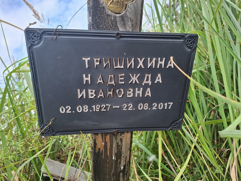 Тришихина
