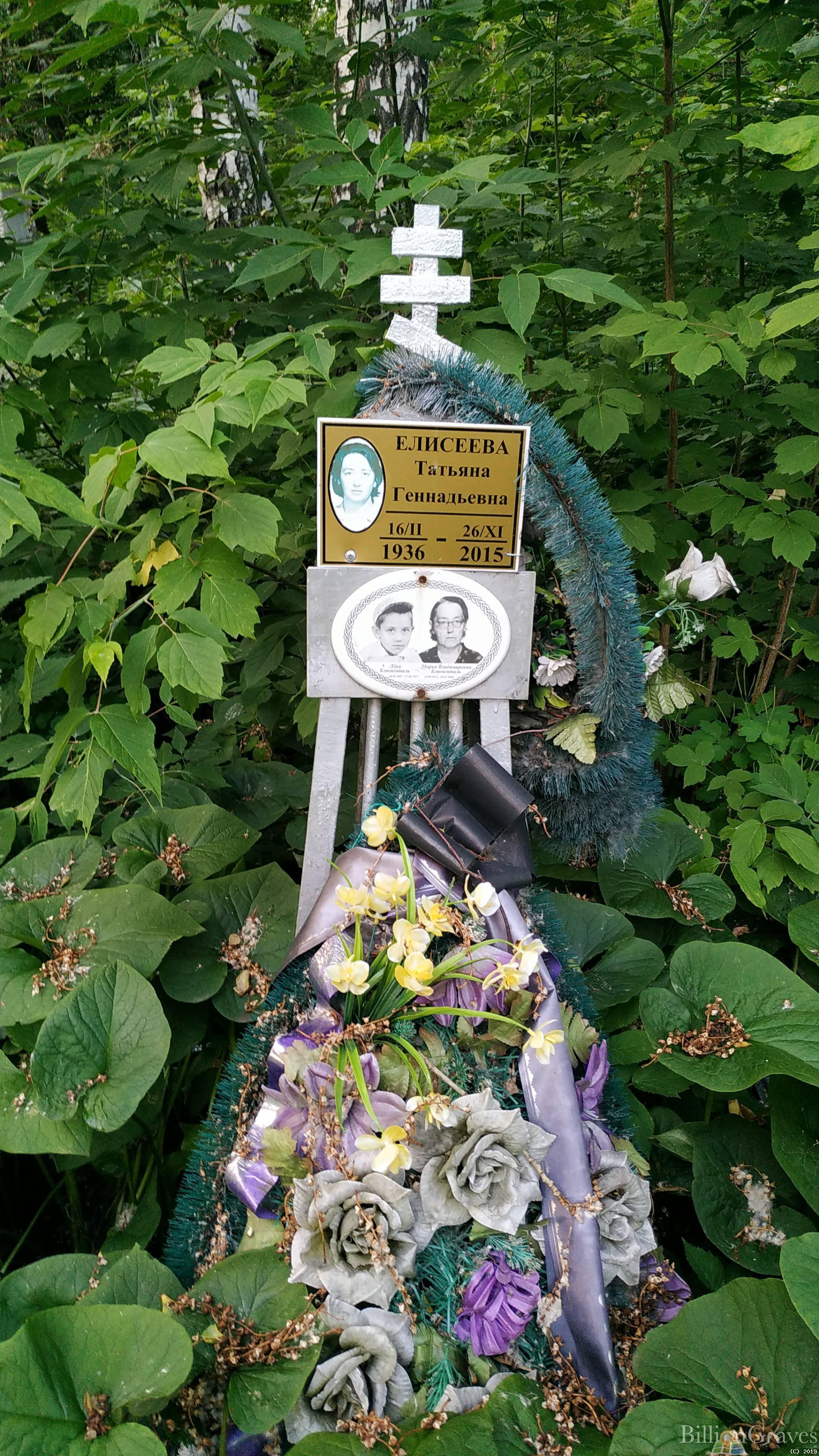 Елисеева Татьяна Геннадьевна