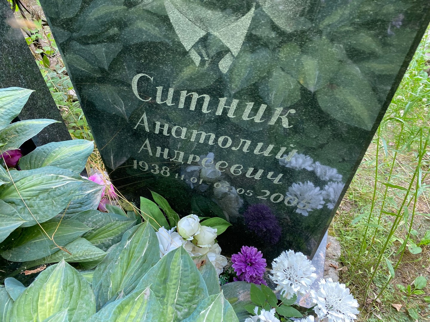 Ситник