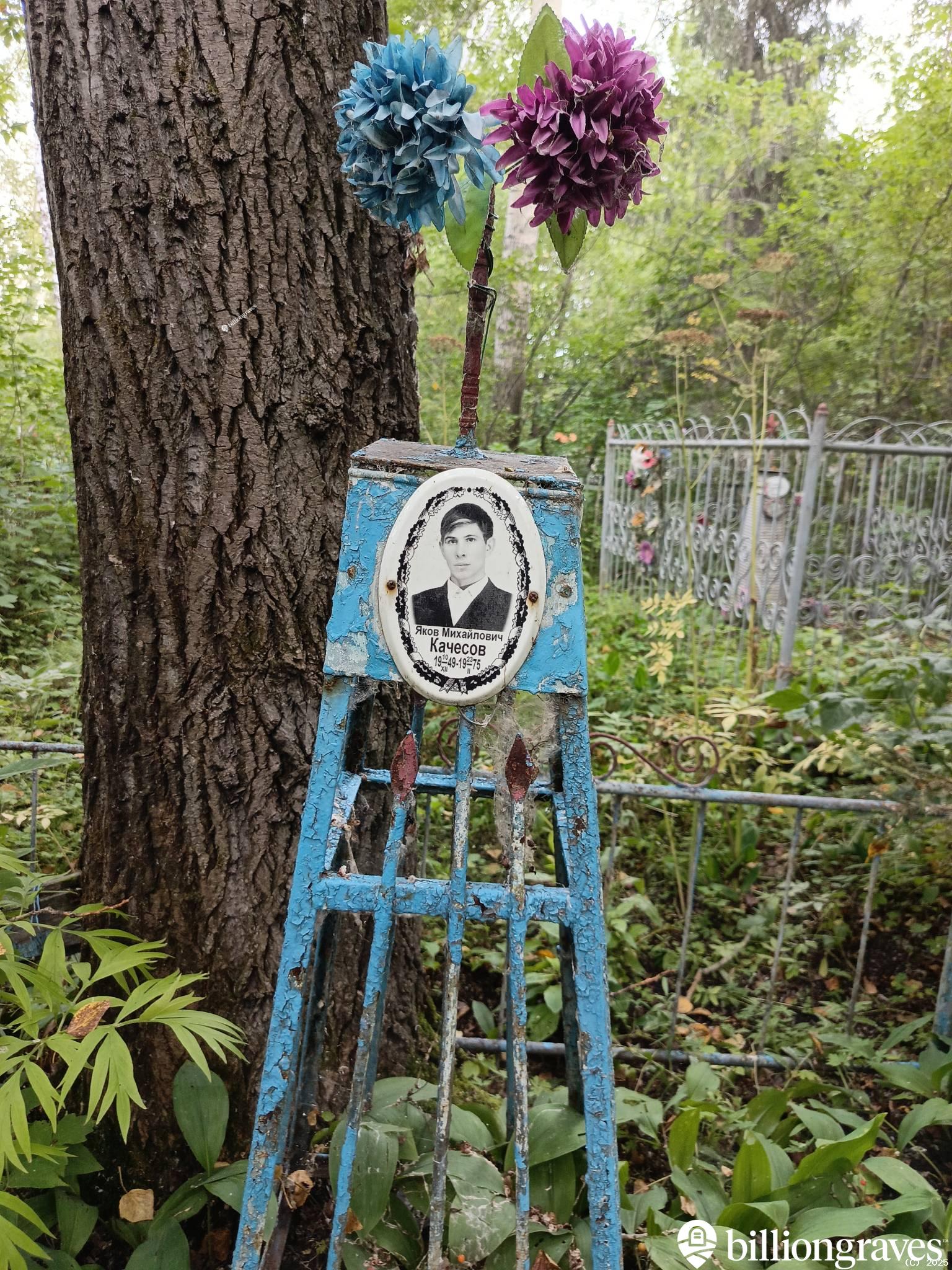 Качесов Яков Михайлович