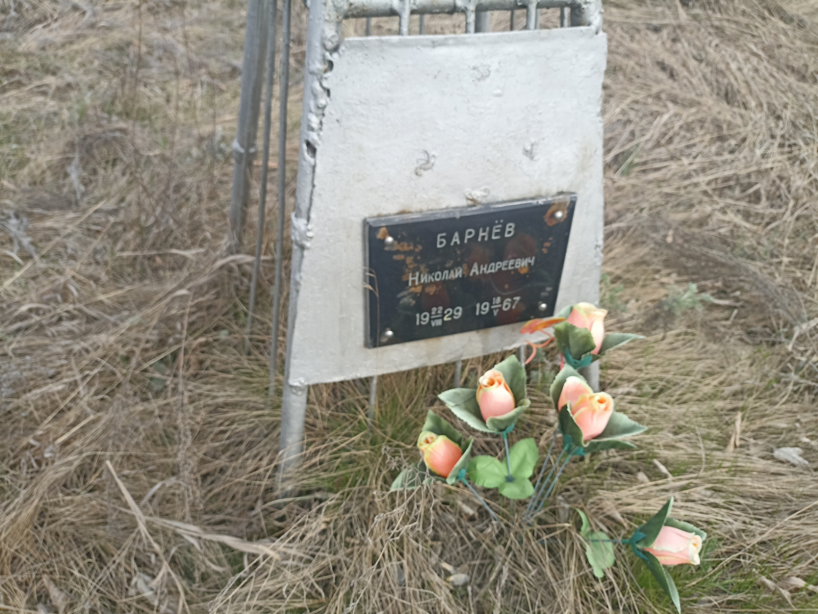 Барнёв Николай Андреевич