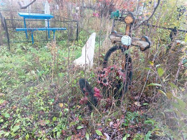 Боченкова Надежда Васильевна