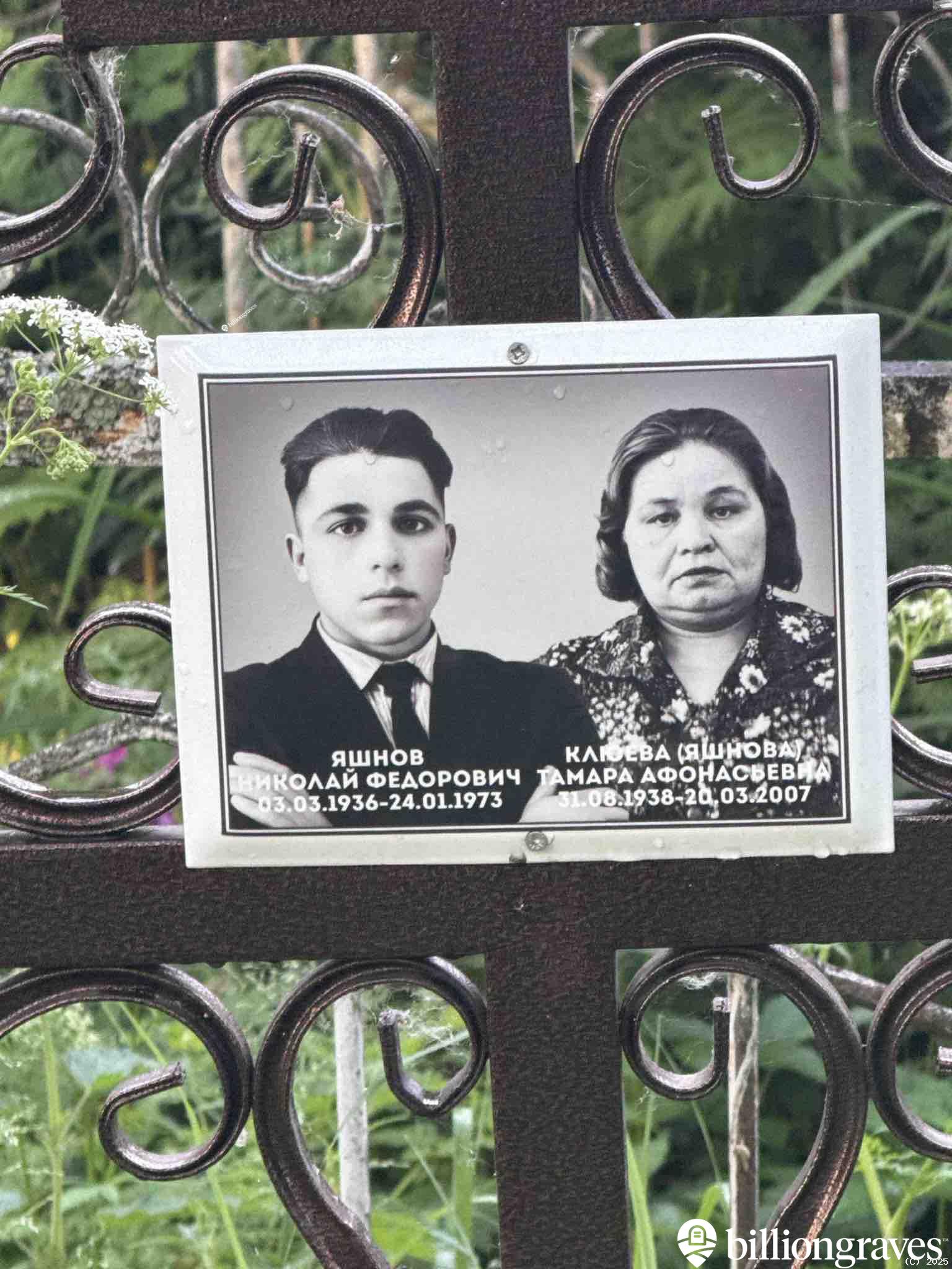 Клюева Тамара Афонасьевна