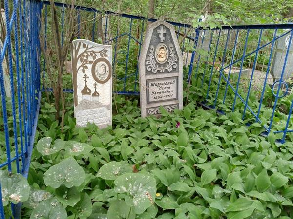 Шкурлакова А. И.
