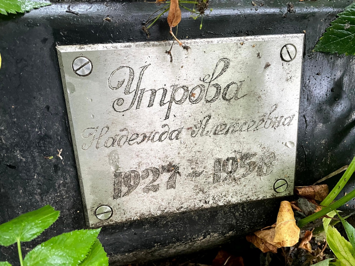 Утрова